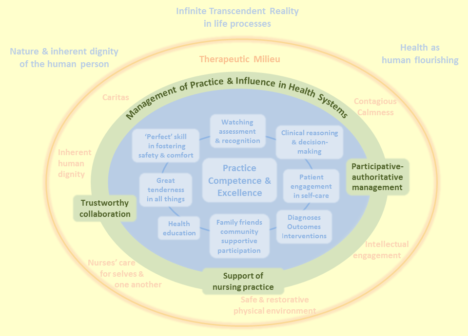 Management of Practice & Influence in Health Systems - Careful Nursing