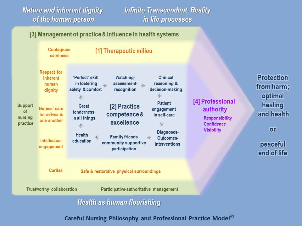 Professional Practice Model - Careful Nursing comfort theory diagram model 