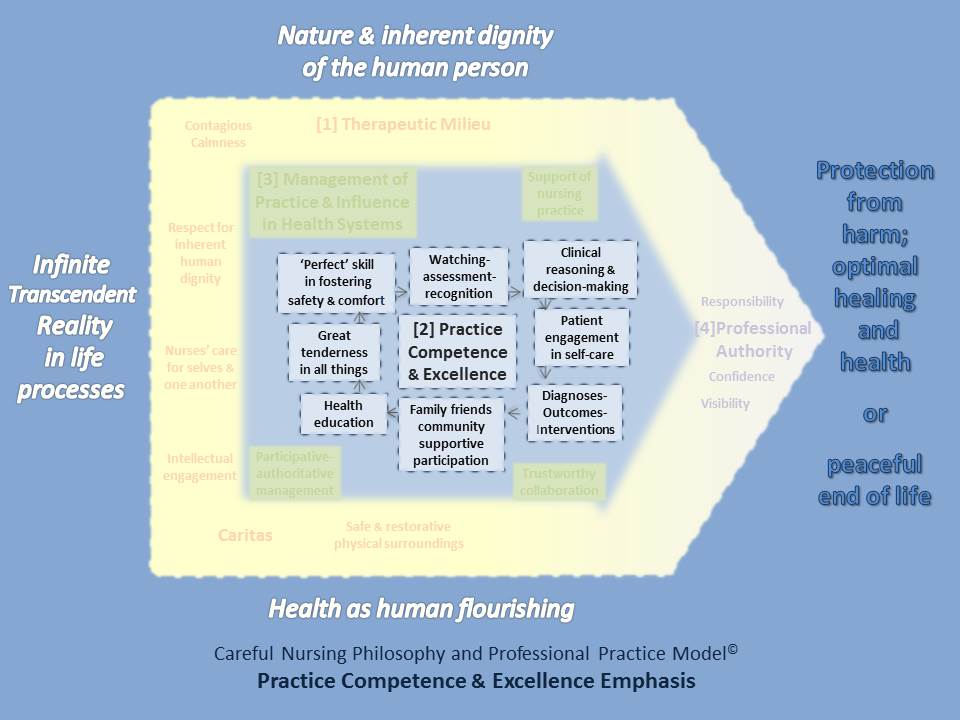 Practice Competence & Excellence - Careful Nursing